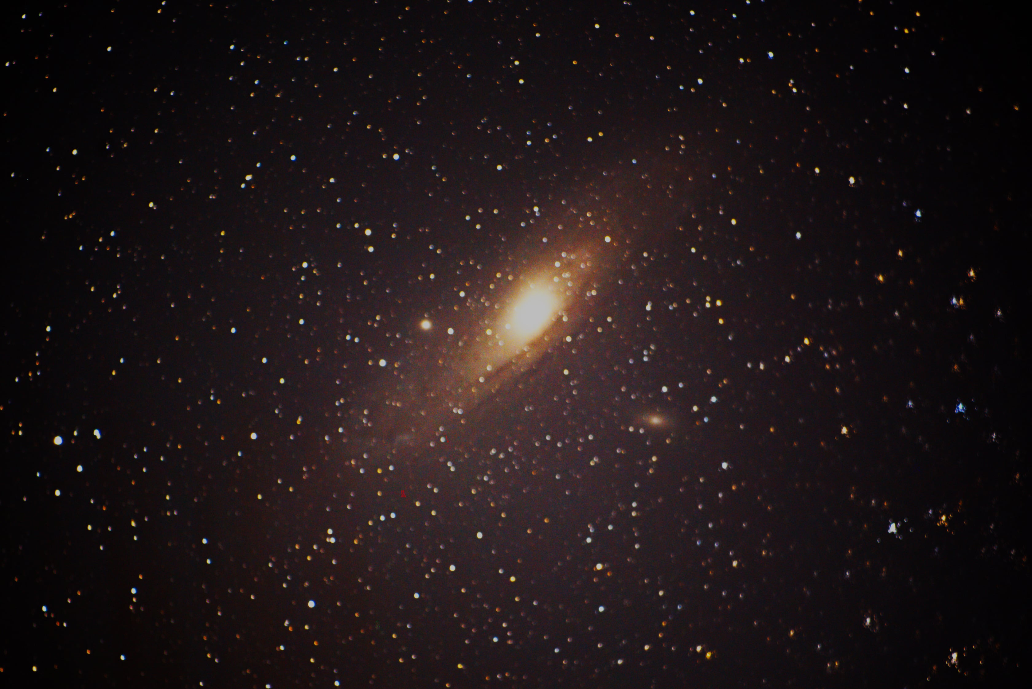The Andromeda Galaxy (M31)