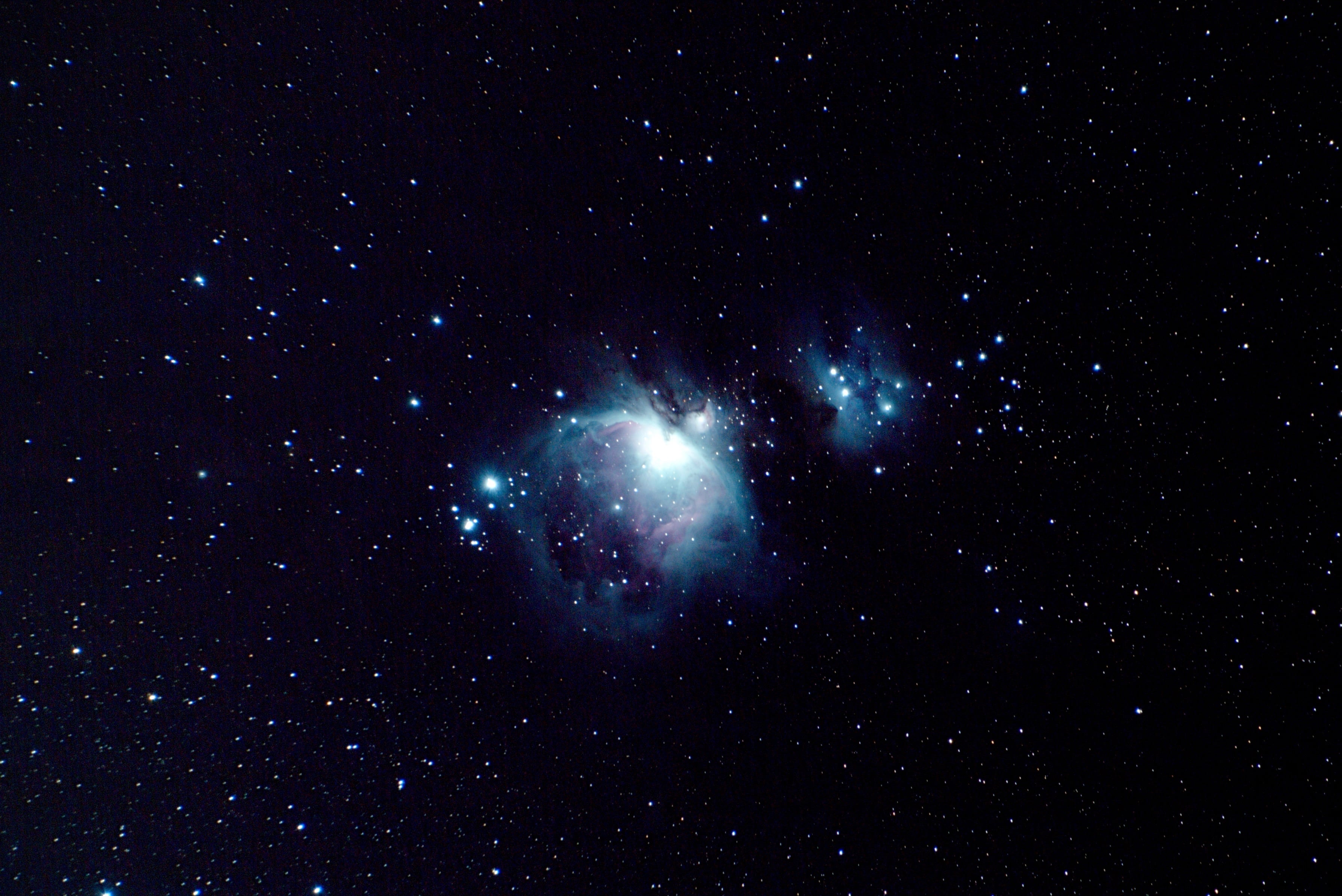 The Orion Nebula (M42)